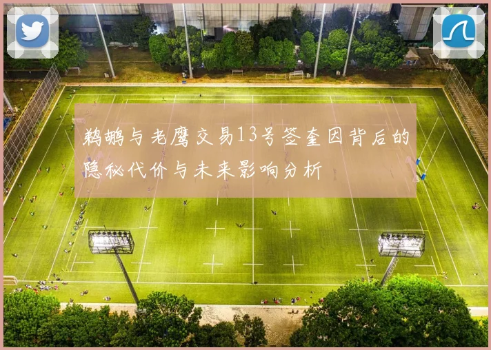 鹈鹕与老鹰交易13号签奎因背后的隐秘代价与未来影响分析