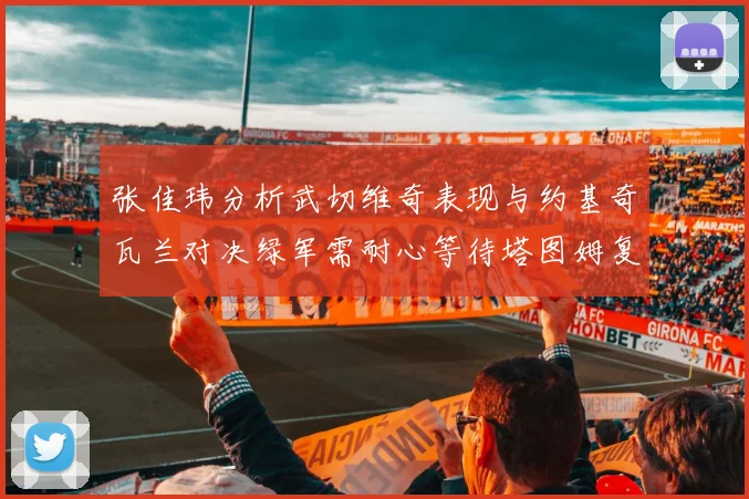 张佳玮分析武切维奇表现与约基奇瓦兰对决绿军需耐心等待塔图姆复出